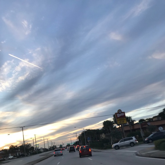 Meet your Posher, Kipi - Picture 1 of 1